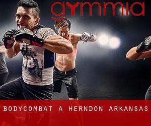 BodyCombat à Herndon (Arkansas) BodyCombat à Herndon (Arkansas)