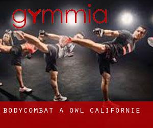 BodyCombat à Owl (Californie)