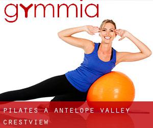 Pilates à Antelope Valley-Crestview
