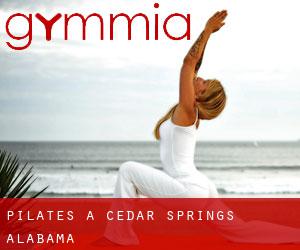 Pilates à Cedar Springs (Alabama)