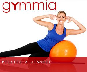 Pilates à Jiamusi