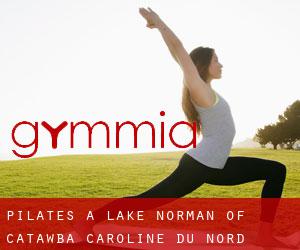 Pilates à Lake Norman of Catawba (Caroline du Nord)