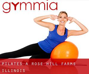 Pilates à Rose Hill Farms (Illinois)