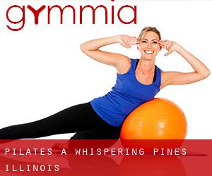 Pilates à Whispering Pines (Illinois)