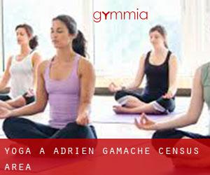 Yoga à Adrien-Gamache (census area)
