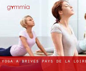 Yoga à Brives (Pays de la Loire)