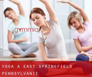 Yoga à East Springfield (Pennsylvanie)