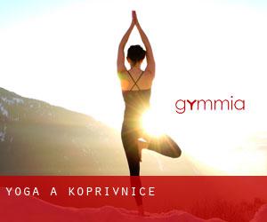 Yoga à Kopřivnice