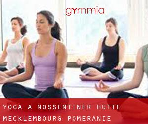 Yoga à Nossentiner Hütte (Mecklembourg-Poméranie)