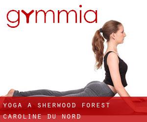 Yoga à Sherwood Forest (Caroline du Nord)