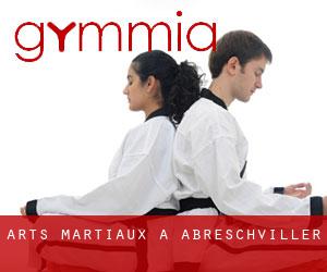 Arts Martiaux à Abreschviller