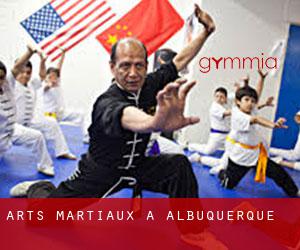 Arts Martiaux à Albuquerque