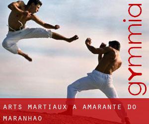 Arts Martiaux à Amarante do Maranhão