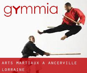 Arts Martiaux à Ancerville (Lorraine)