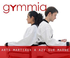 Arts Martiaux à Azy-sur-Marne