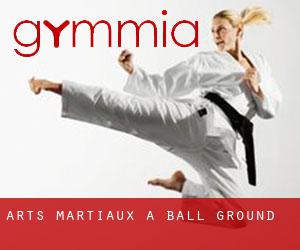 Arts Martiaux à Ball Ground Arts Martiaux à Ball Ground