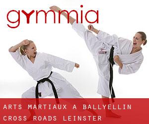 Arts Martiaux à Ballyellin Cross Roads (Leinster)