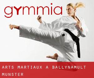 Arts Martiaux à Ballynamult (Munster)