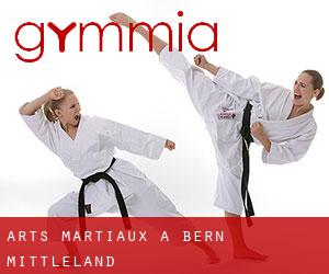 Arts Martiaux à Bern-Mittleland Arts Martiaux à Bern-Mittleland