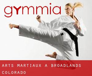 Arts Martiaux à Broadlands (Colorado)