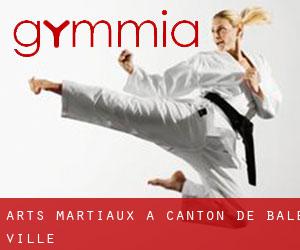 Arts Martiaux à Canton de Bâle-Ville Arts Martiaux à Canton de Bâle-Ville