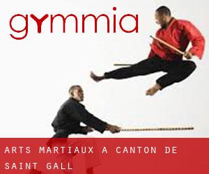 Arts Martiaux à Canton de Saint-Gall