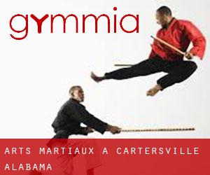 Arts Martiaux à Cartersville (Alabama)