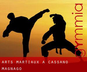 Arts Martiaux à Cassano Magnago