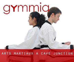 Arts Martiaux à Cave Junction Arts Martiaux à Cave Junction