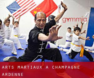Arts Martiaux à Champagne-Ardenne Arts Martiaux à Champagne-Ardenne