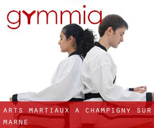 Arts Martiaux à Champigny-sur-Marne