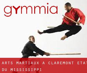 Arts Martiaux à Claremont (État du Mississippi)
