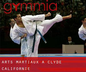 Arts Martiaux à Clyde (Californie) Arts Martiaux à Clyde (Californie)