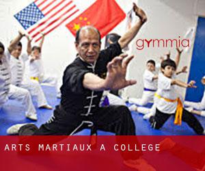 Arts Martiaux à College