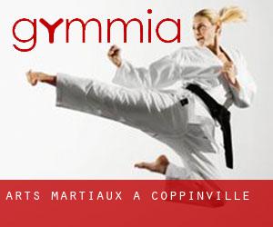 Arts Martiaux à Coppinville