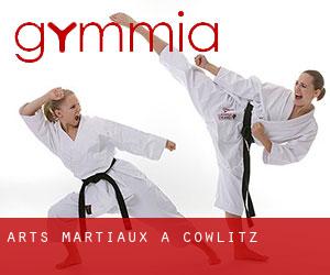 Arts Martiaux à Cowlitz Arts Martiaux à Cowlitz