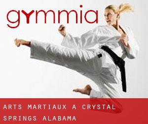 Arts Martiaux à Crystal Springs (Alabama)