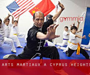 Arts Martiaux à Cyprus Heights