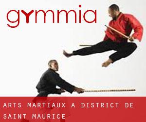 Arts Martiaux à District de Saint-Maurice
