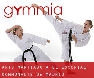 Arts Martiaux à El Escorial (Communauté de Madrid)
