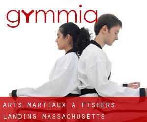 Arts Martiaux à Fishers Landing (Massachusetts)