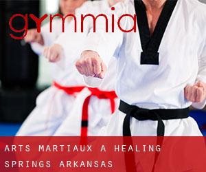 Arts Martiaux à Healing Springs (Arkansas)
