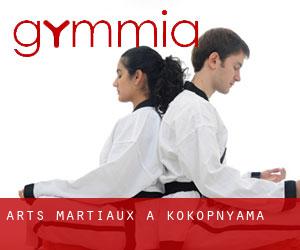 Arts Martiaux à Kokopnyama