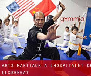 Arts Martiaux à L'Hospitalet de Llobregat Arts Martiaux à L'Hospitalet de Llobregat