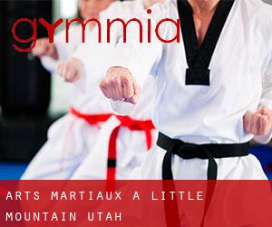 Arts Martiaux à Little Mountain (Utah)