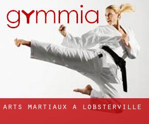 Arts Martiaux à Lobsterville Arts Martiaux à Lobsterville