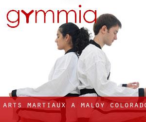 Arts Martiaux à Maloy (Colorado) Arts Martiaux à Maloy (Colorado)