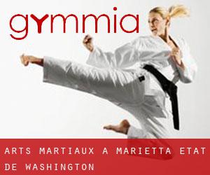 Arts Martiaux à Marietta (État de Washington)