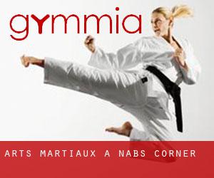 Arts Martiaux à Nabs Corner Arts Martiaux à Nabs Corner