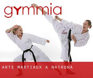 Arts Martiaux à Natrona Arts Martiaux à Natrona